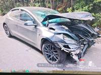 2024 Model 3 0.0 自动