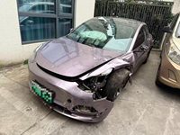 2021 特斯拉(中国) 自动