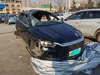 2024 宋Pro新能源