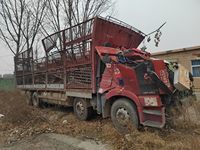 解放 解放 解放J6(P6) 畜禽运输车