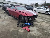 2024 野马Mustang(进口)[Mustang]