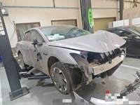 2025 小鹏MONA M03