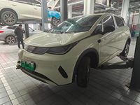 2025 海豚