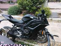 2023 无极牌LX250GS-3