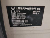 2025 海鸥