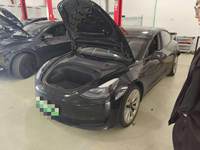 2021 Model 3
