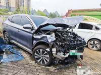 2024 宋PLUS新能源