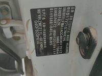 2019 卡罗拉