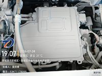 2024 海豚