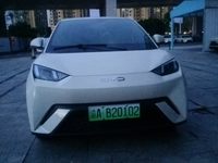 2024 海鸥