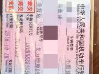 2016 艾力绅