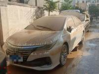 2022 亚洲狮 2.0 自动